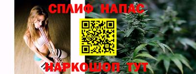 тгк Обь