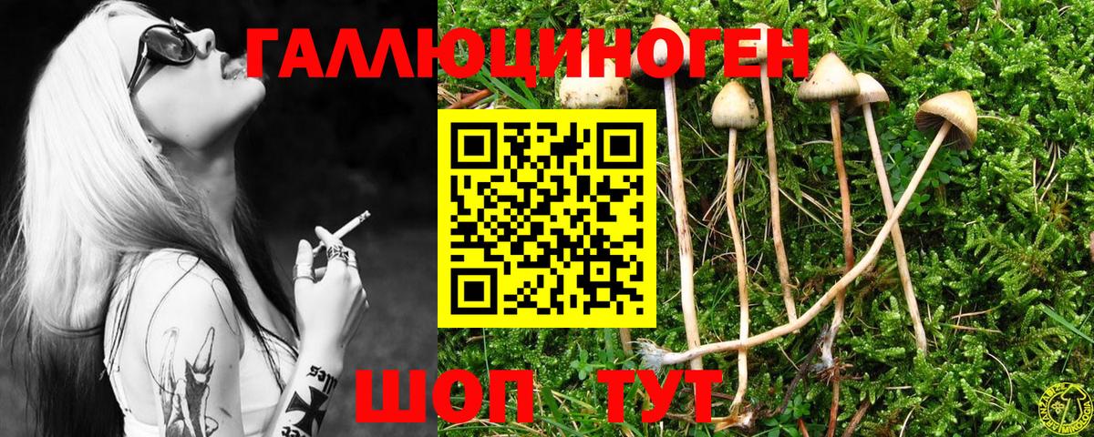 Галлюциногенные грибы MAGIC MUSHROOMS  Вход с VPN  Солнечногорск 